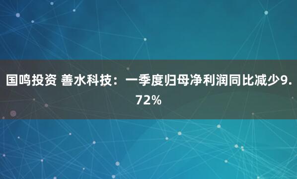 国鸣投资 善水科技：一季度归母净利润同比减少9.72%