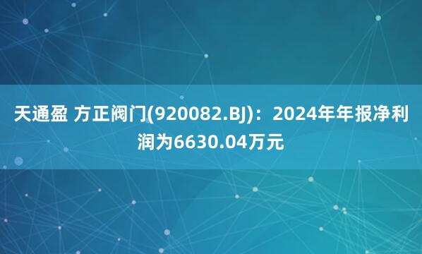 天通盈 方正阀门(920082.BJ)：2024年年报净利润为6630.04万元