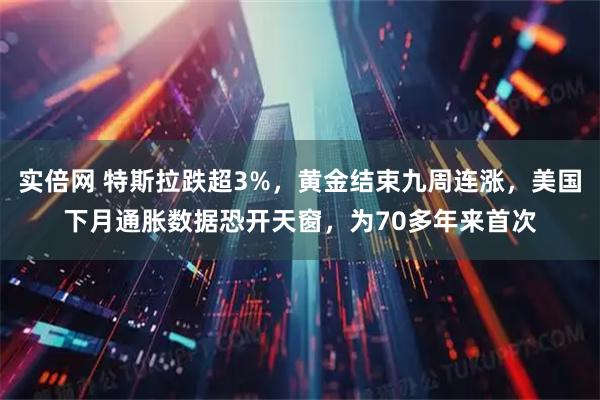 实倍网 特斯拉跌超3%，黄金结束九周连涨，美国下月通胀数据恐开天窗，为70多年来首次